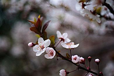 《黄金树幽影》文件体积为本体1＆3 比《只狼》还大